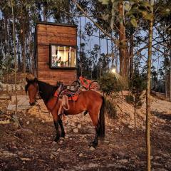 El Bosque de Paipa