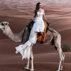 Sahara Desert Camp
