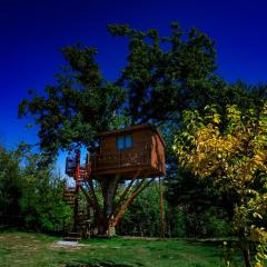 Casa sull'albero Bocchineri