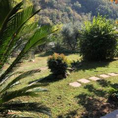 Casa Costanza