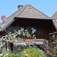 Ferienwohnung Beim Holzmann