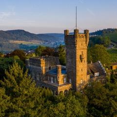 Saar Castle - cozy Mansion near vineyard