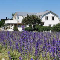 Villa Neptuni lägenhet och rumsuthyrning