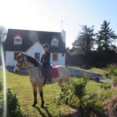 Letterfrack Farmhouse on equestrian farm in Letterfrack beside Connemara National Park