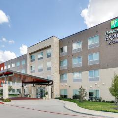 Holiday Inn Express & Suites Dallas NW - Farmers Branch, an IHG Hotel