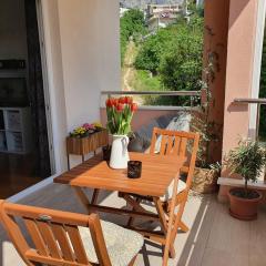 APARTMENT PINNA NOBILIS, private parking