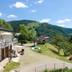 Steiert Panorama Apartments Todtnau