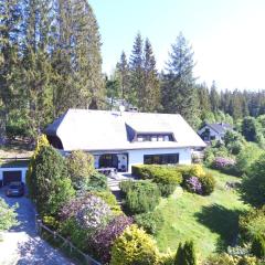 Schwarzwald-Villa mit Indoor-Pool