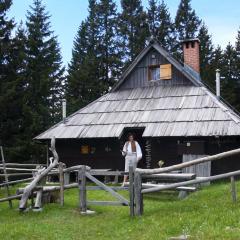 Chalet Pinja - I FEEL ALPS