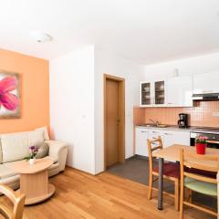 Apartments MEDVED in the historic center
