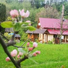 Карпатський світанок