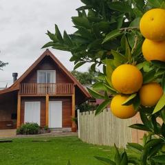 Cabana no Vale dos Vinhedos