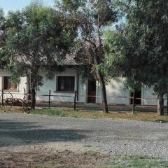 Residence Le Tamerici