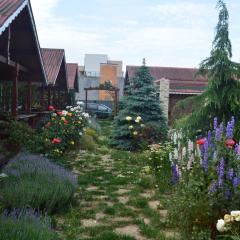 Cabane de lemn