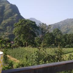 Yellow Valley Homestay