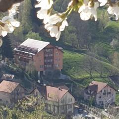 Vila Muntii Bucegi & SPA