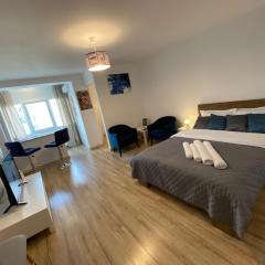 Take PRO Timisoara Apartment