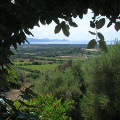 Villa Domenica
