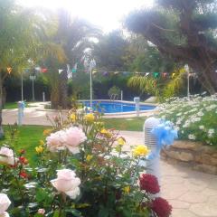 2 bedrooms apartement with shared pool furnished terrace and wifi at Elche 6 km away from the beach