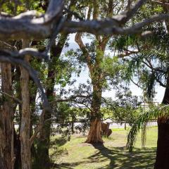 Bay Parklands, 34 2 Gowrie Avenue - Air con, Wifi, Views, Pool, Spa & Tennis Court