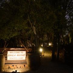 Shala Mushe Tented Camp & Camp