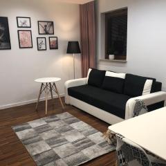 Apartament Scandinavia