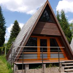 Ferienhaus im Nordschwarzwald Haus Kira