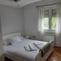 Loznicki stan na dan 2 - stan na dan Loznica