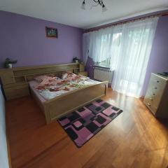 Apartament Berezka 667-108-706