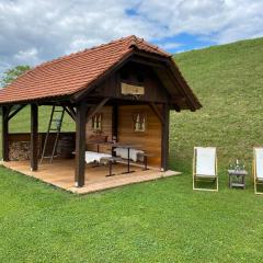 Wooden hut at tourist farm Artisek