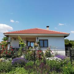 House Albena