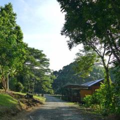 西必洛住宿加早餐旅馆