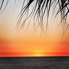 203 Beach Place Condos