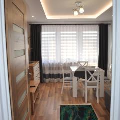 Apartament Sierakowskiego