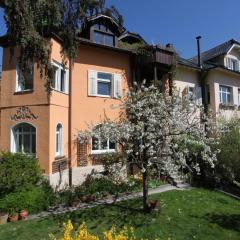 Ferienwohnung Roos am See