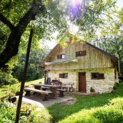 Miha lodge - Mihčevo pleče