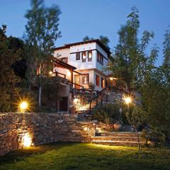 Great Pelion Villa Villa Selini 4 bedrooms Private Pool Aghios Georgios