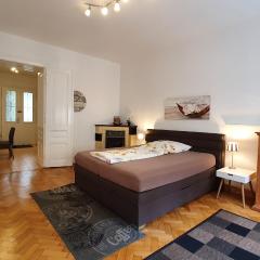 Gorgeous Viennese Apartment 10 min to City Center