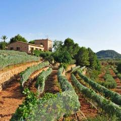 Es Castell de Ca n'Alou de Ses Cases Noves