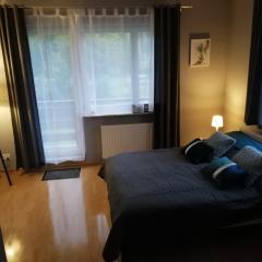 Apartament nad Gorczańskim Strumieniem