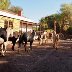 Lodge Atacama Horse