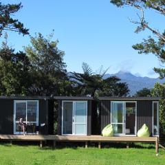 Waihi Gold Alpacas 1 or 2 people