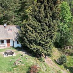 small holiday home at the edge of the forest