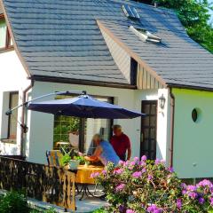 Holiday home in Saxony with private terrace