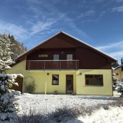 beautiful villa at the Lipno Lake with ski pistes