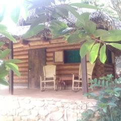 Room in Lodge - Sierraverde Huasteca Potosina Cabins Palo De Rosa