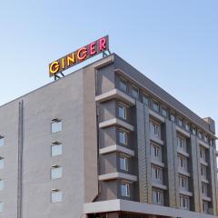 Ginger Vishakhapatnam Gajuwaka