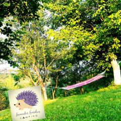 Lavander Garden Camping