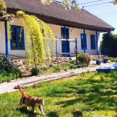 Traditional House in Danube Delta