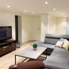 Newly renovated basement apartment